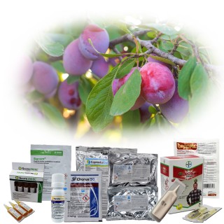 Pachet tratament pomi samburosi (prun, cires, cais), dezmugurit-formare fruct, 100 L de apa