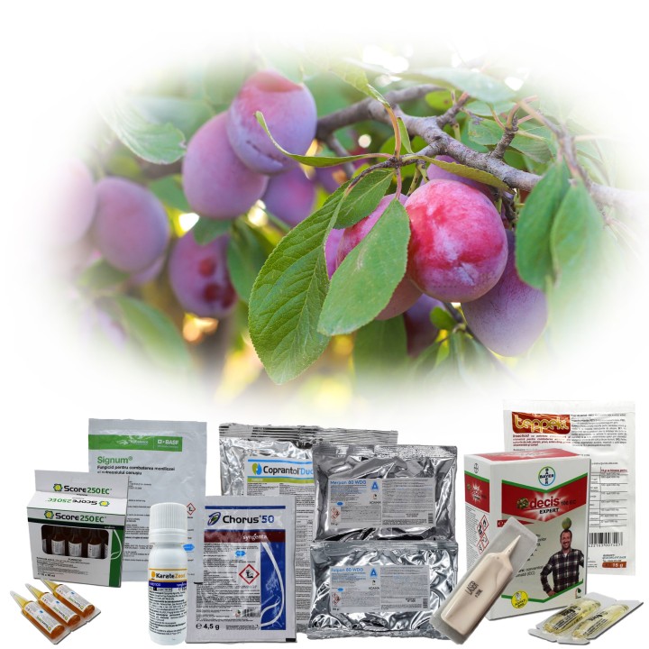 Pachet tratament pomi samburosi (prun, cires, cais), dezmugurit-formare fruct, 100 L de apa