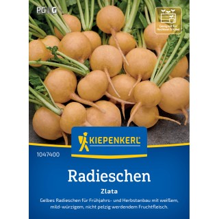 Ridichi galbene Zlata