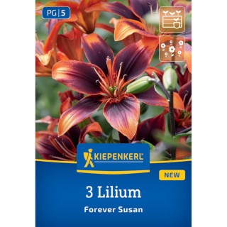 Crin asiatic Forever Susan - 3 bulbi