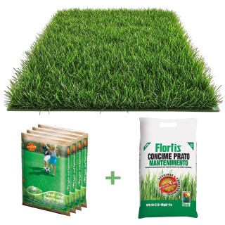 Kit gazon Cheap&Chic, seminte si fertilizant pentru 100 mp