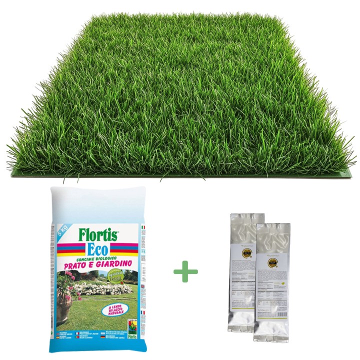 Kit fertilizare si protectie gazon, BIO, 100 mp