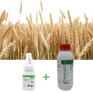 Pachet Economy Anti-Buruieni la Grau pentru 1 Hectar, erbicid + biostimulator