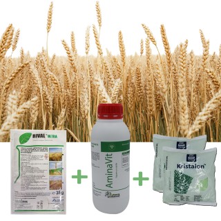 Pachet Anti-Buruieni Grau, crestere activa, 1 ha - erbicid, biostimulator si ingrasamant