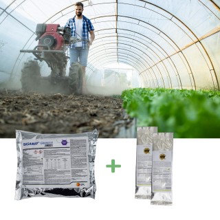 Kit dezinfectare si refacere sol, 20 - 40 metri patrati