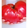Seminte de tomate Zazera gigant, de culoare rosie, de tip Homestead
