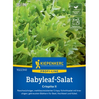Seminte de salata Crispita II