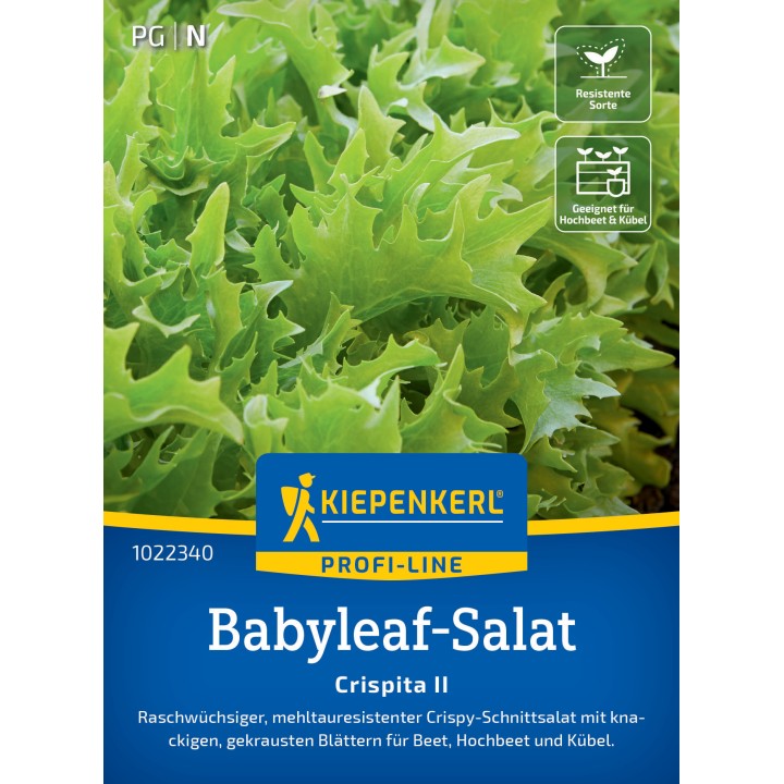 Seminte de salata Crispita II