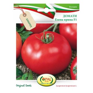 Seminte de tomate Elena Prima F1, 0,2 g, Opal