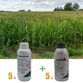 Pachet antiburuieni la porumb, erbicidare pentru 5 hectare