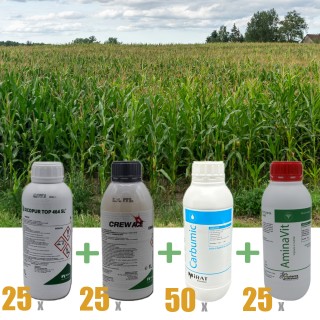 Pachet antiburuieni la Porumb, erbicide + fertilizanti pentru 25 hectare