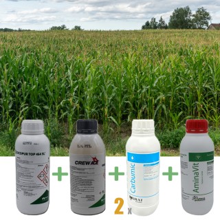 Pachet antiburuieni la Porumb, erbicide + fertilizanti pentru 1 hectar