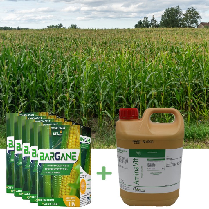 Pachet BARGANE erbicidare la porumb + fertilizant pentru 5 hectare