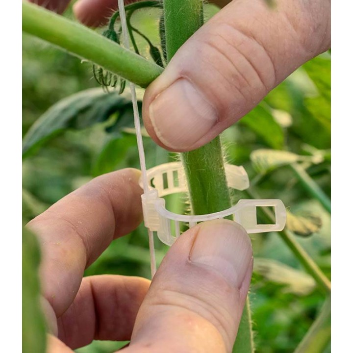 Clips tomate Optima 23 palisare