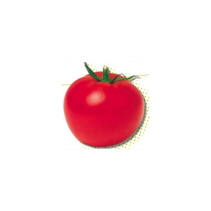 Seminte de tomate Izmir F1, 500 seminte