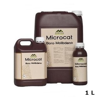 Ingrasamant foliar cu bor si molibden Microcat Mo-B