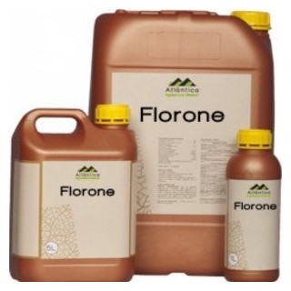 Regulator pentru stimularea infloririi Florone