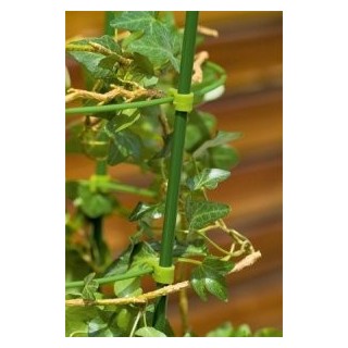 Spalier pentru plantele din ghiveci, 60 cm