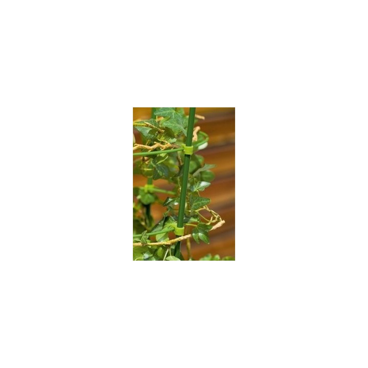 Spalier pentru plantele din ghiveci, 60 cm