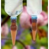 Adaptor de irigare pentru sticla pentru plante la ghiveci