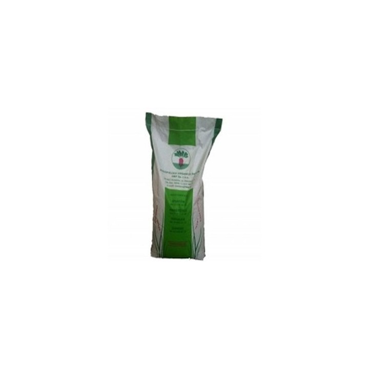 Seminte de sfecla furajera Ursus Poly, sac 20 kilograme
