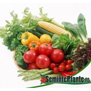 Pachet de seminte de legume Hobby Hibrid