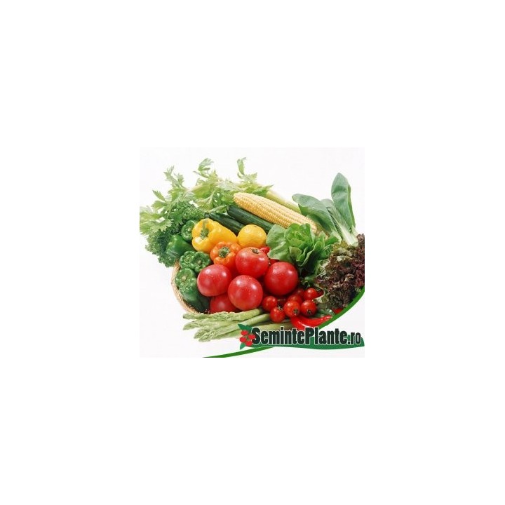 Pachet de seminte de legume Hobby Hibrid