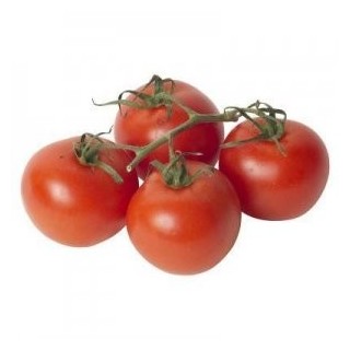 Seminte profesionale de tomate Vanessa F1
