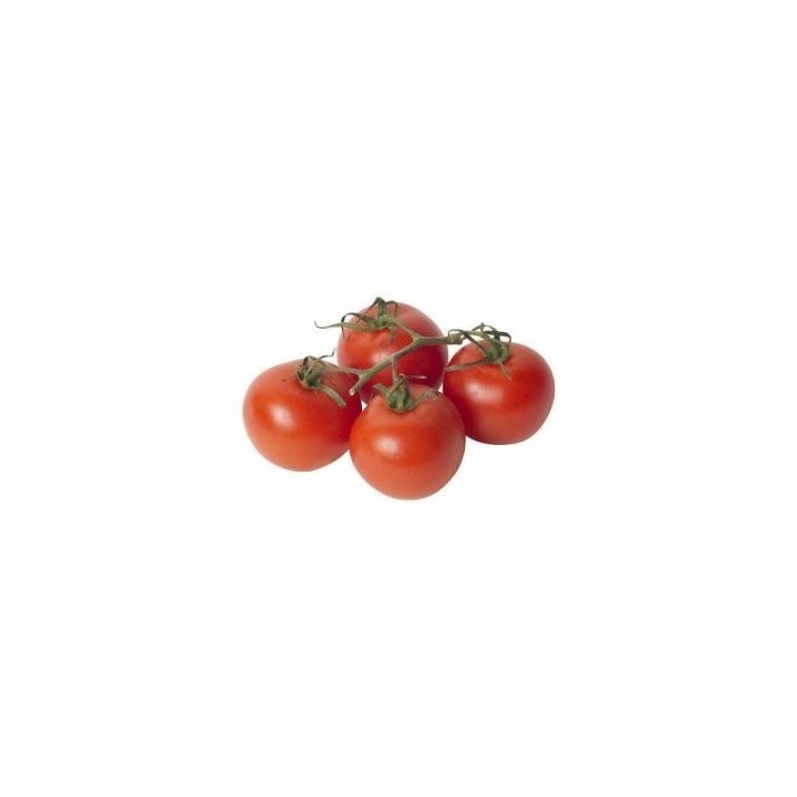 Seminte profesionale de tomate Vanessa F1