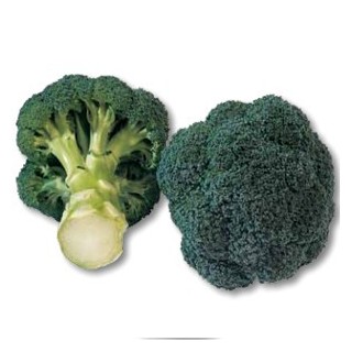 Seminte de broccoli Monaco F1, 2500 Seminte