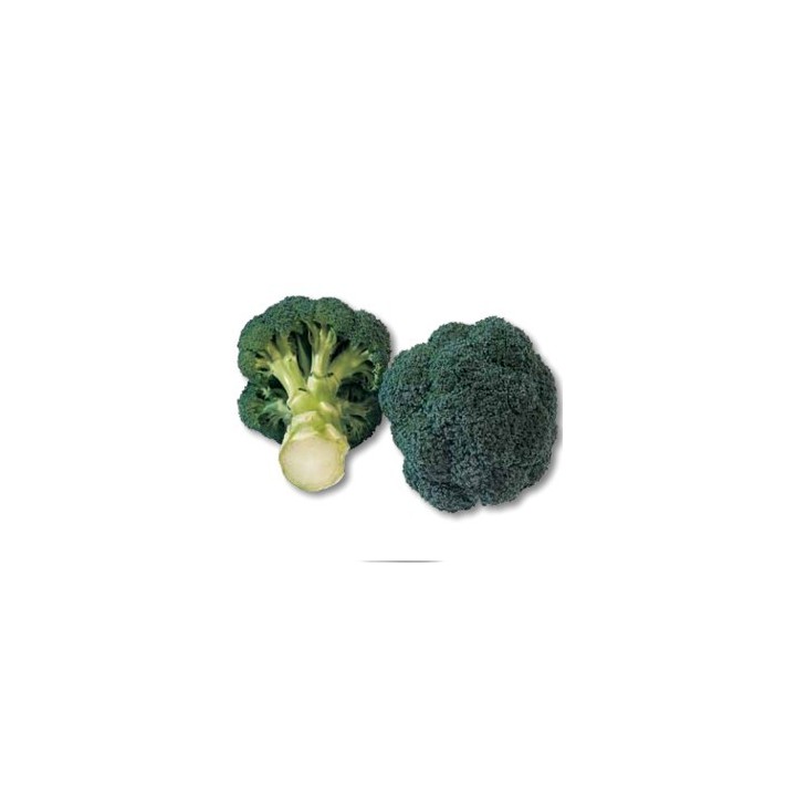 Seminte de broccoli Monaco F1, 2500 Seminte