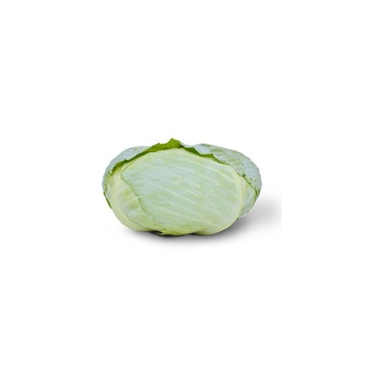 Kiwibean Seminte de varza Discos F1, Zki