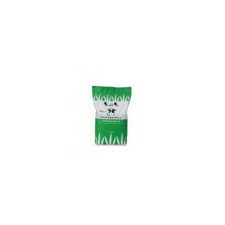 Amestec furajer VersaMax Robust, sac 10 kilograme