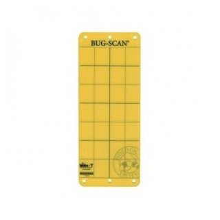 Capcane Bug Scan