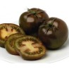 Seminte de tomate negre tip Kumato Big Sacher F1 132-283