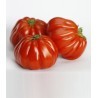 Seminte de tomate Rugantino F1