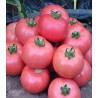 Seminte de tomate roz Dimerosa F1 (500 seminte)