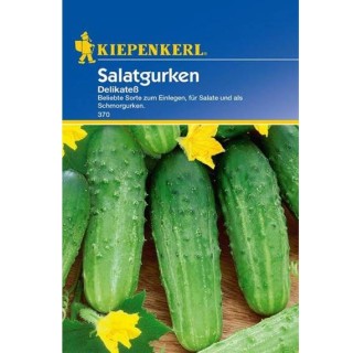 seminte-castraveti-cornichon-delikates