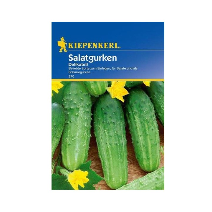 seminte-castraveti-cornichon-delikates