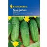 seminte-castraveti-cornichon-delikates