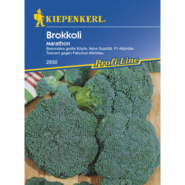 seminte broccoli marathon