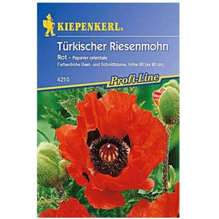 Mac oriental (papaver orientale)