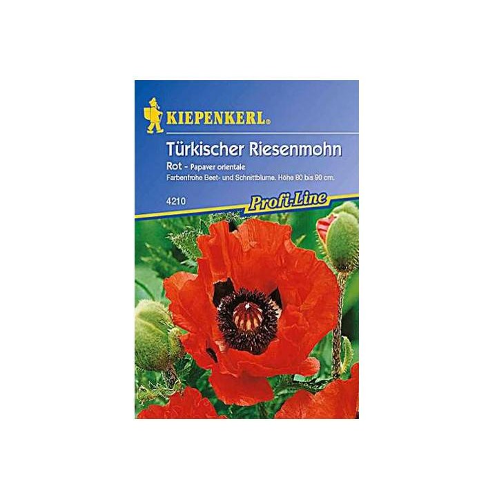 Mac oriental (papaver orientale)