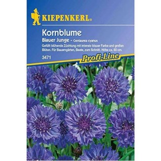 Albastrele Blauer Junge, 60 seminte