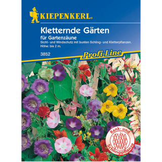 Amestec plante urcatoare (35 sem)