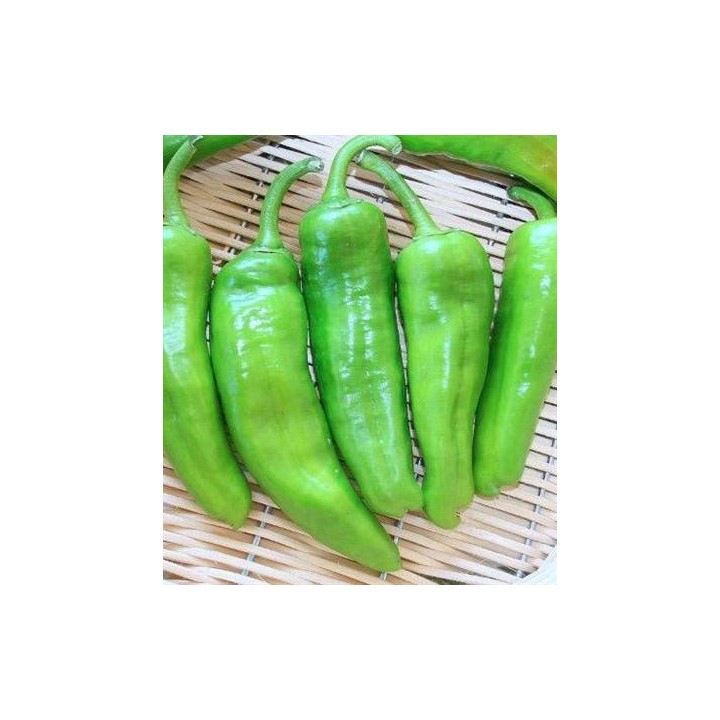 Ardei verde Friggitello - 1 gram