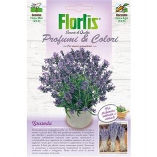 Lavanda - 0.5 grame
