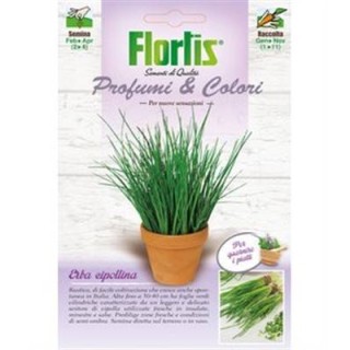 Ceapa de tuns - Chives (2 grame)