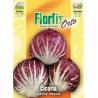 Cicoare de gradina Radicchio Rosso - 10 grame