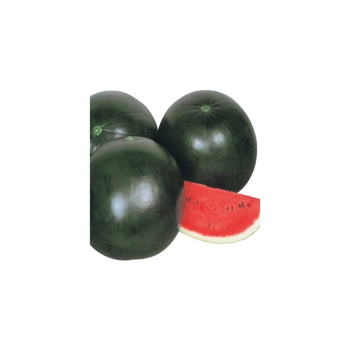 seminte-pepene-ricca-f1
